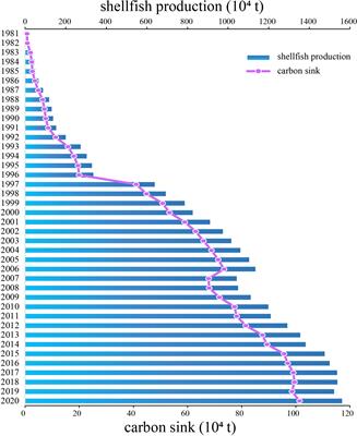 Assessing the carbon sink capacity of coastal mariculture shellfish resources in China from 1981–2020